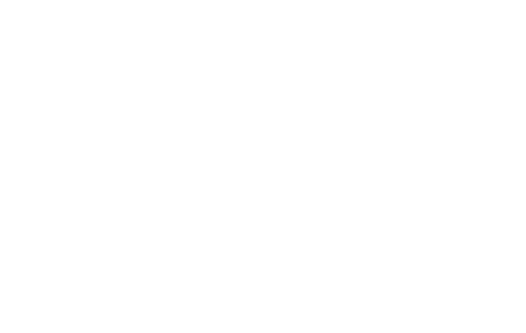 logo night run fest branco